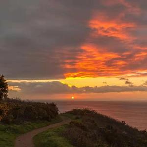 沉默 (Prod EVOMUSIC)