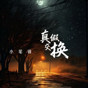 真假交换