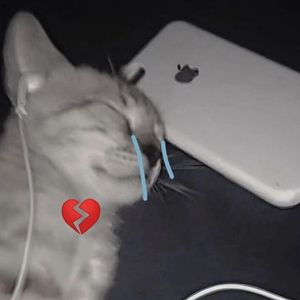 我 再 也 进 不 去 你 的 Q Q 空 间