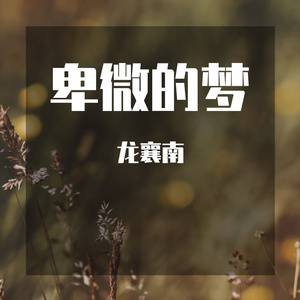 卑微的梦