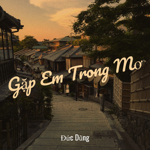 Gặp Em Trong Mơ