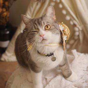 痴（DM广播剧《格格不入》第一期ED）