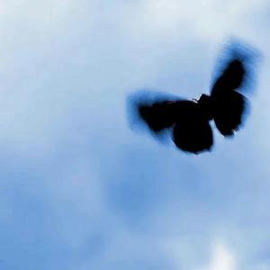 够爱(DJ阿智Remix)