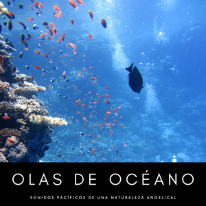 Pacíficos Olas De Agua