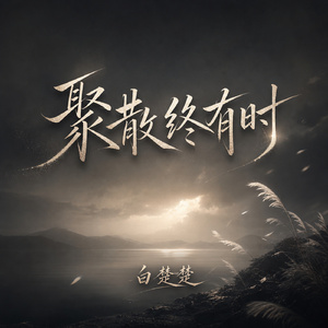 聚散终有时