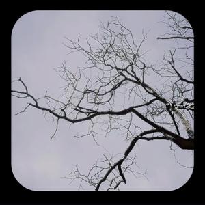 “记忆”是痛苦的根源