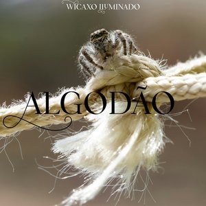 Algodão