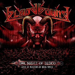 In the Name of Metal (Live at Masters of Rock 2015)