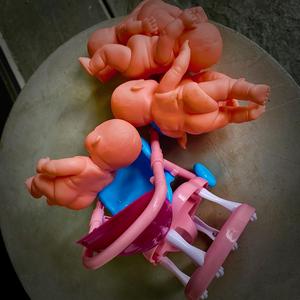 She Came To Stop The Tanks