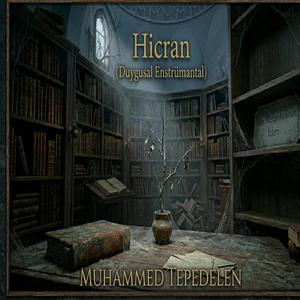 Hicran (Duygusal Enstrümantal)