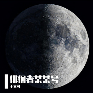 徘徊者某某号
