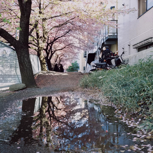 Roma Midnight - The Cobblestone Path - Sonauto.mp3