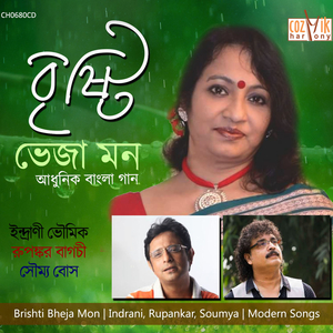 Brishti Bheja Brishti
