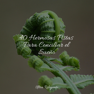 Hojas Revoloteando Hacia Abajo