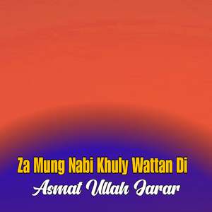 Za Chi Pa Bandi Nazidoma