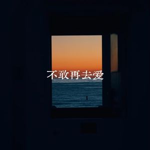 不敢再去爱
