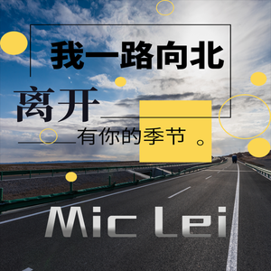 斑马森林-一路向北 （Mc_Lei remix）
