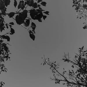 《过往》原创弹唱-文同学