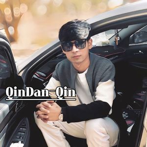 Qindanqin