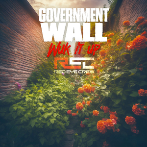 Government Wall Wuk It Up