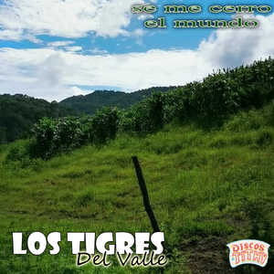 Por Querer a una Mujer