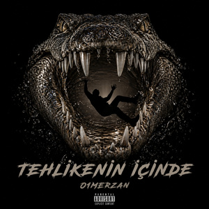 TEHLİKENİN İÇİNDE