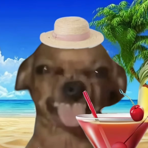 弹簧_新版_1754568743954