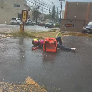 Bolado **** Under Side