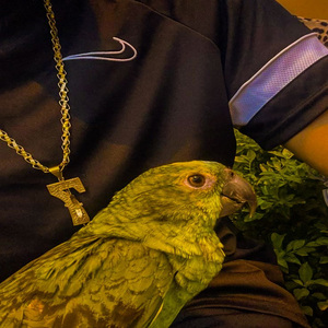 Balão Whisky