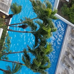 ONLY ON THE WEATHER CHANNEL