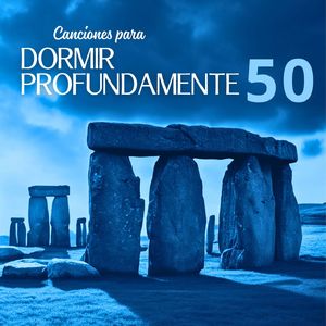 Beneficios de un Sutil Alivio