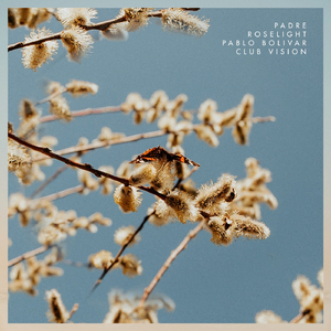Roselight (Pablo Bolivar Club Vision)