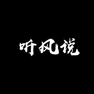 听风说-Demo