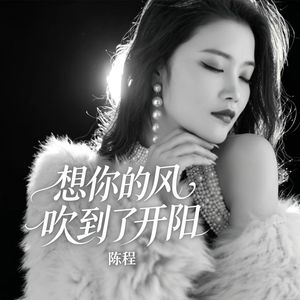 想你的风吹到了开阳