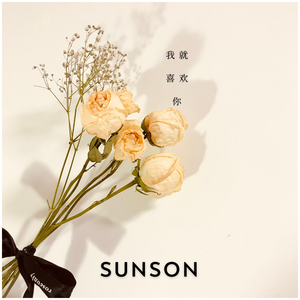 我就喜欢你 伴奏