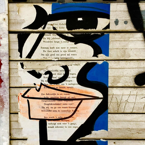 The Mirror and the Fountain