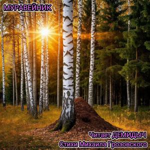 Муравейник