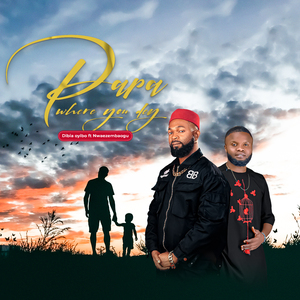 Papa Where You Dey