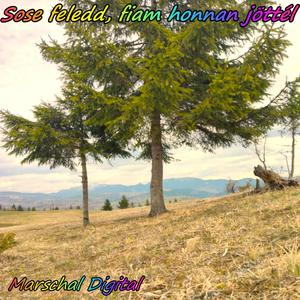 Sose feledd, fiam honnan jöttél