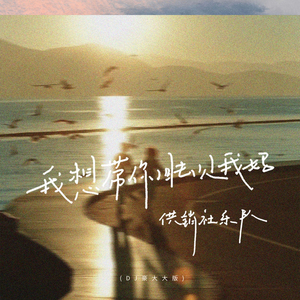 我想带你回去见我妈 (DJ豪大大版)