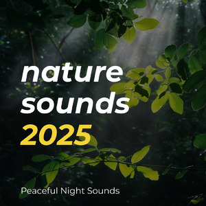 超熟睡ギターメディテーション 癒しの音楽・眠れる曲 リラックスと安眠のための睡眠導入音楽 (自律神経を整える睡眠用 森 鳥)