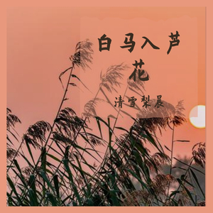 白马入芦花