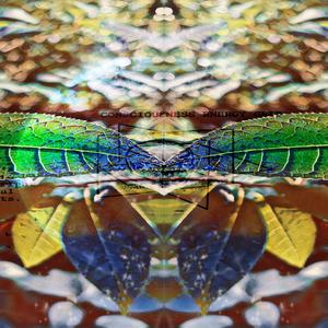 FUNDAMENTAL WITH HAKU