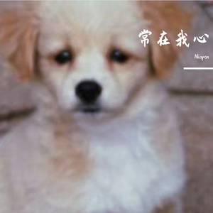 常在我心