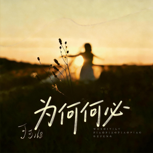 为何何必
