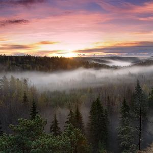 这一生关于你的风景