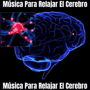 Experimental La Meditacion