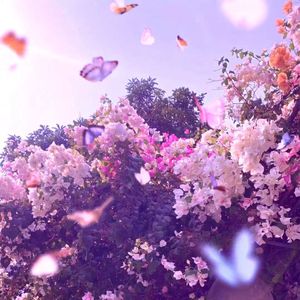 I'm waiting (爱慕未停)