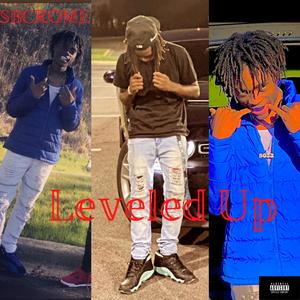 Leveled Up