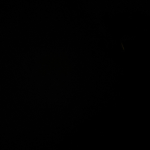 如果有一天有人读懂我